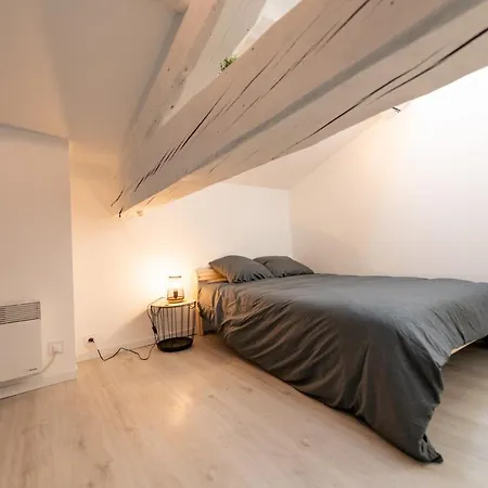 Kasa Duplex - Climatisation - Balcon - Parking Prive * Rive-de-Gier
